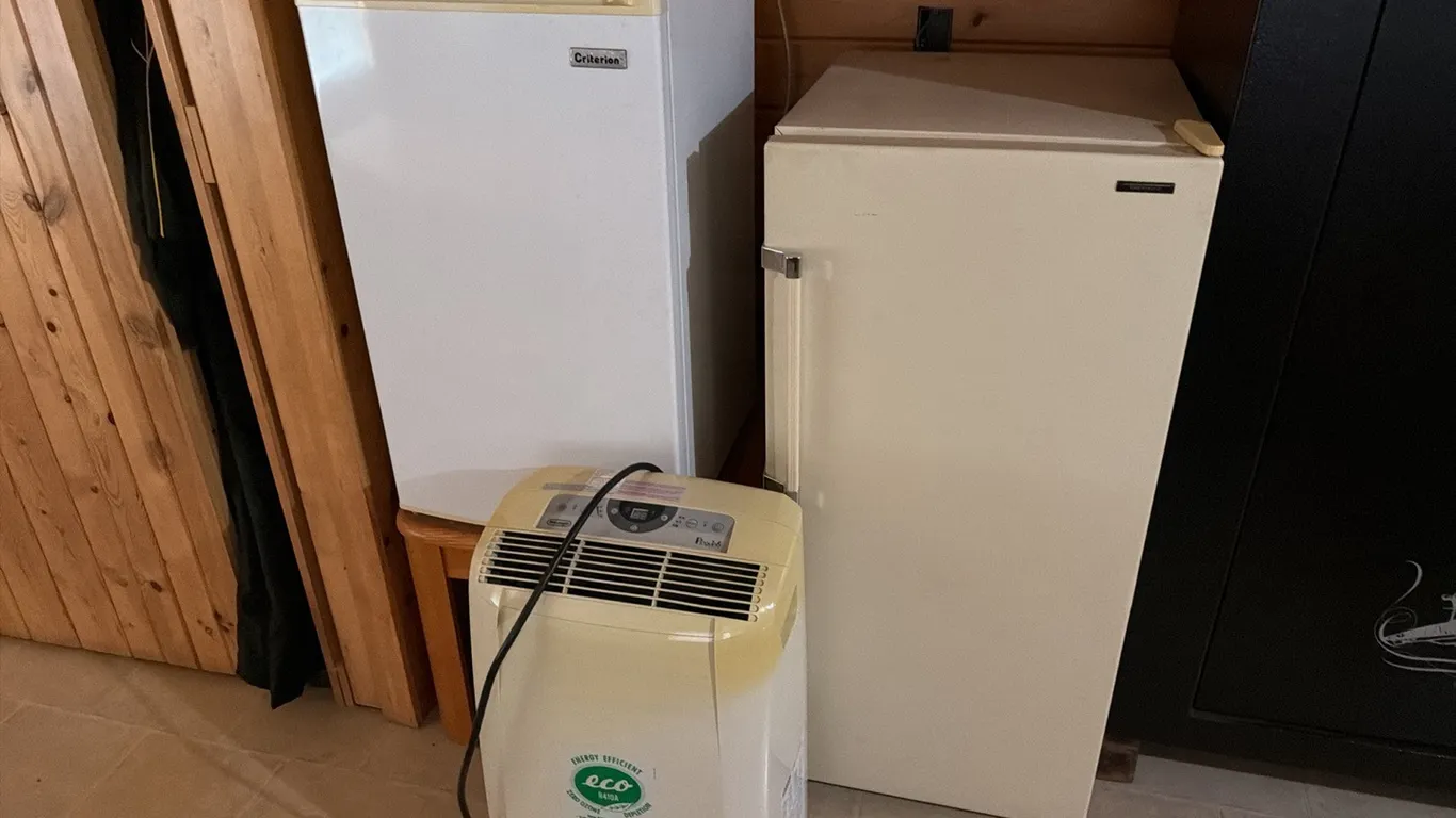2) Small refrigerators w/ DeLonghi dehumidifier, end table & cabinet