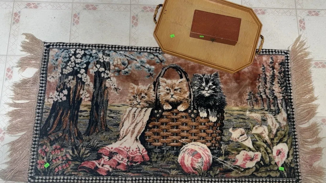 Small Rectangular Rug with Kitten Basket Motif and Fringed Edges