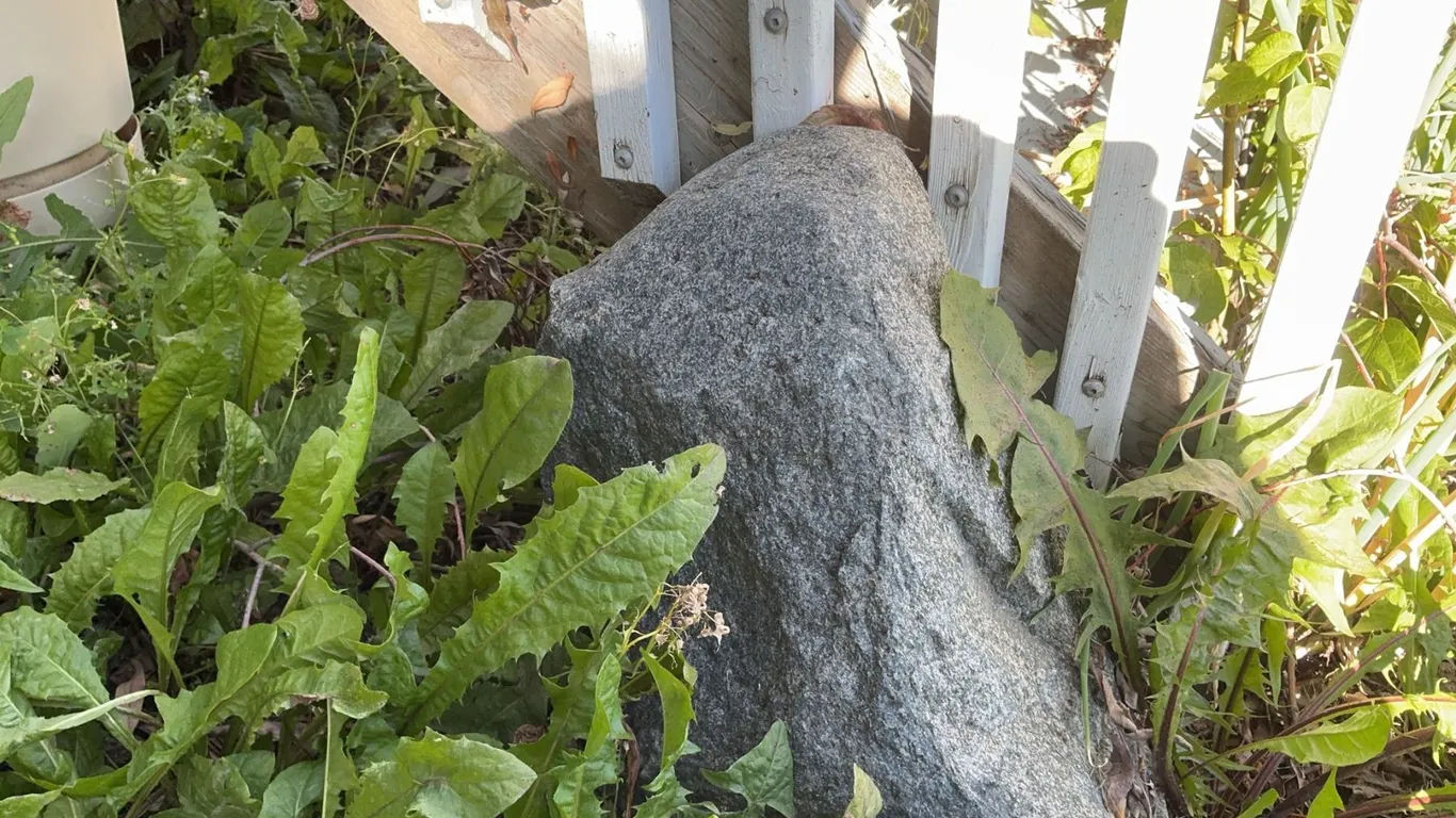 Large Landscaping Rocks and Stones