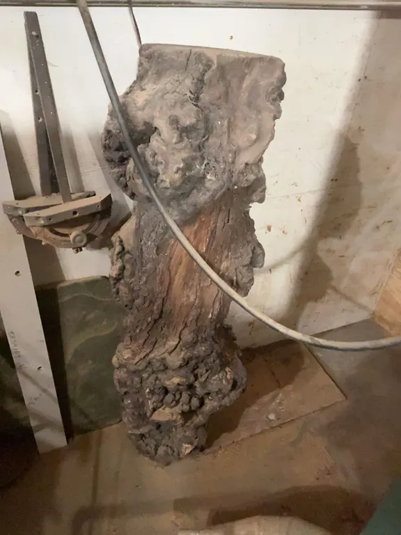 Natural Tree Burl Log
