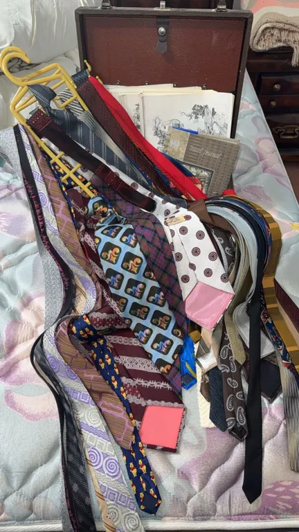 Men's Neck Ties with Suitcase