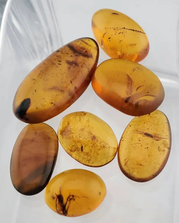 Burmese Amber (60.6 ct, 34×17 mm Assorted)