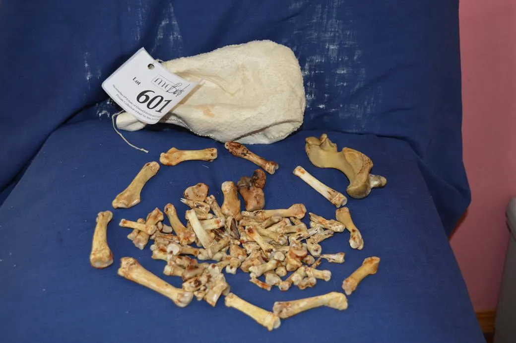 Seal Flipper Bones, Seal Skin Pouch (Inugait),Bone Game & Pouch. Socializing Game.