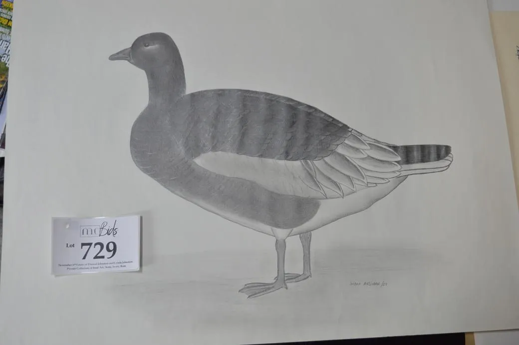 A Large Brant Goose