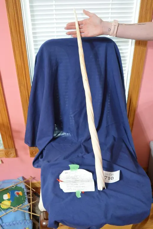 A 32" Narwhal Tusk With Required Tag, From Authorities, With Necessary Information.