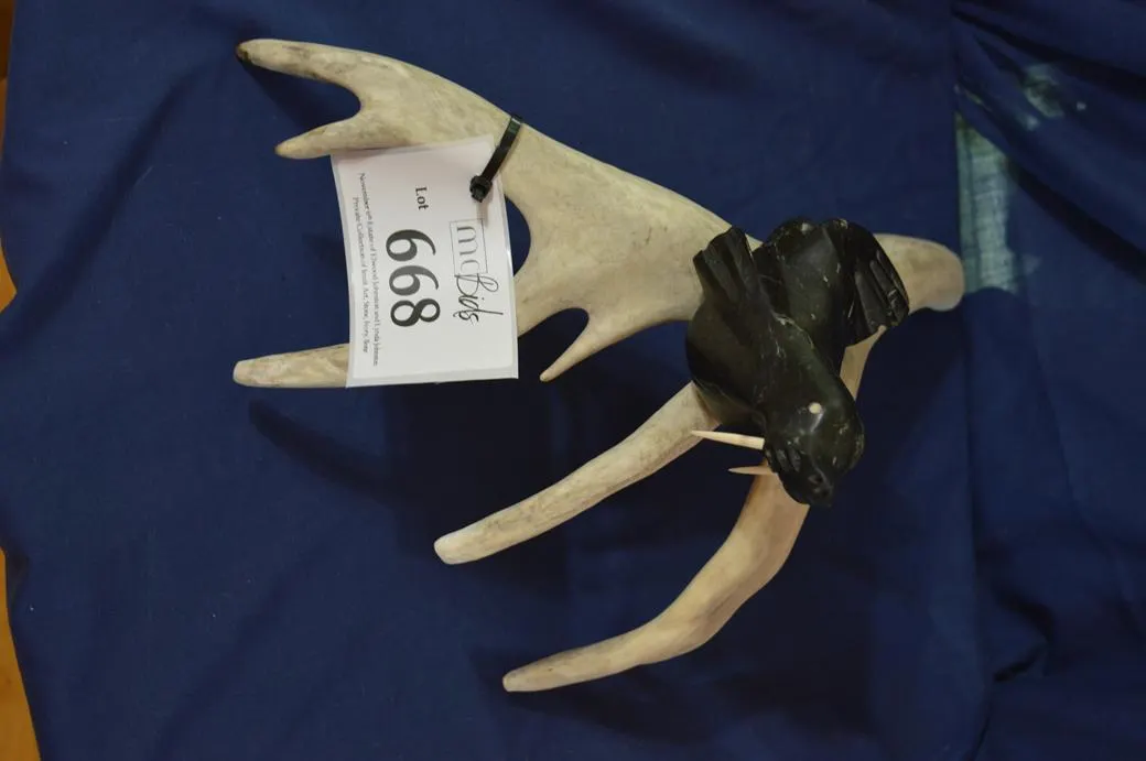 Walrus With Ivory Tusks Sitting On A Rock (Antler)