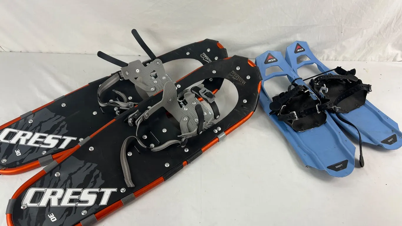 Snowshoes