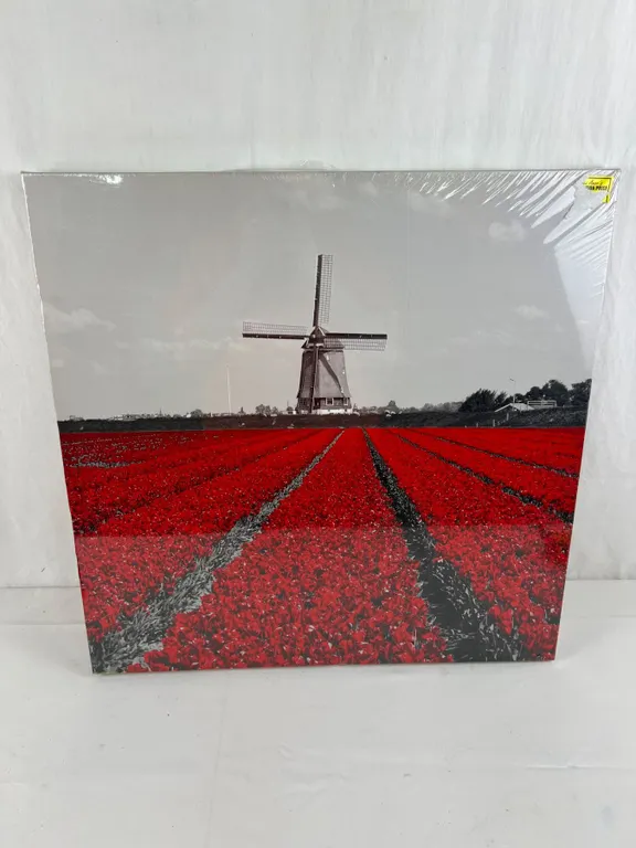 Poppy Field Canvas Print