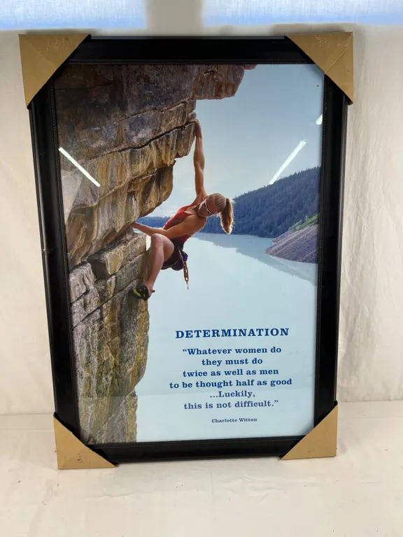 Framed Motivational Poster