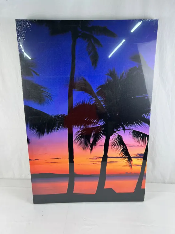 Large Canvas Print