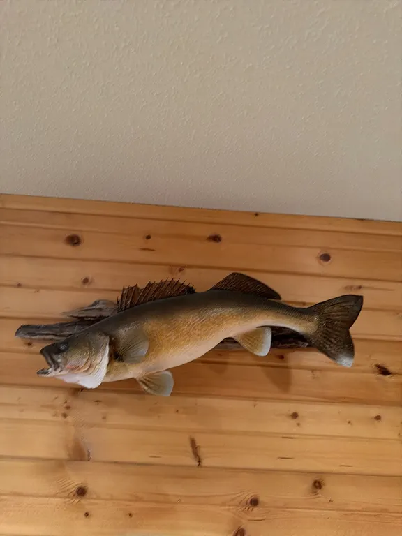 Trophy walleye