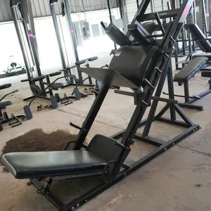 Hack Squat