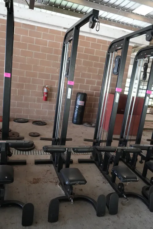 Lat Pulls