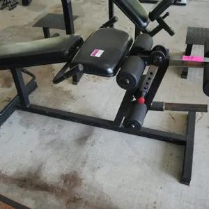 Leg Extension