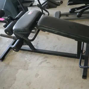 Leg Extension
