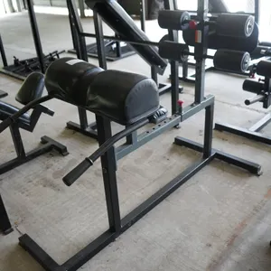 Back Extension