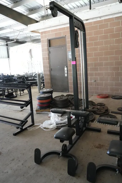 Lat Pulls