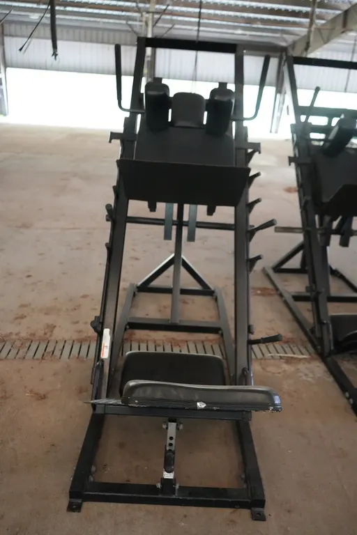 Hack Squat