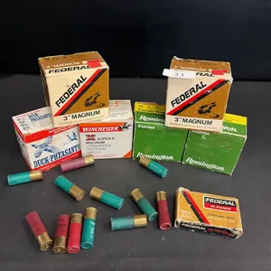 110 Shells 12GA