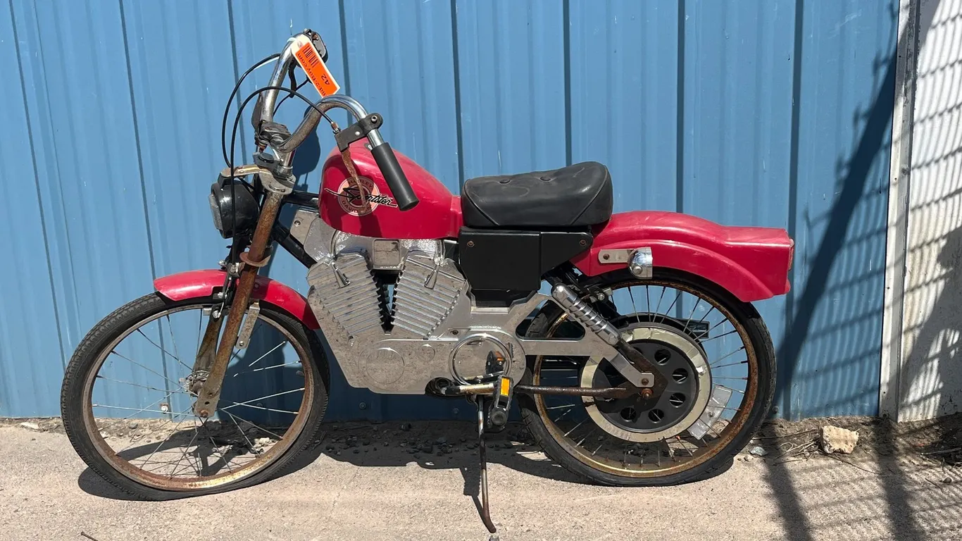 Rare Harley Davidson Sportster Pedal Bike