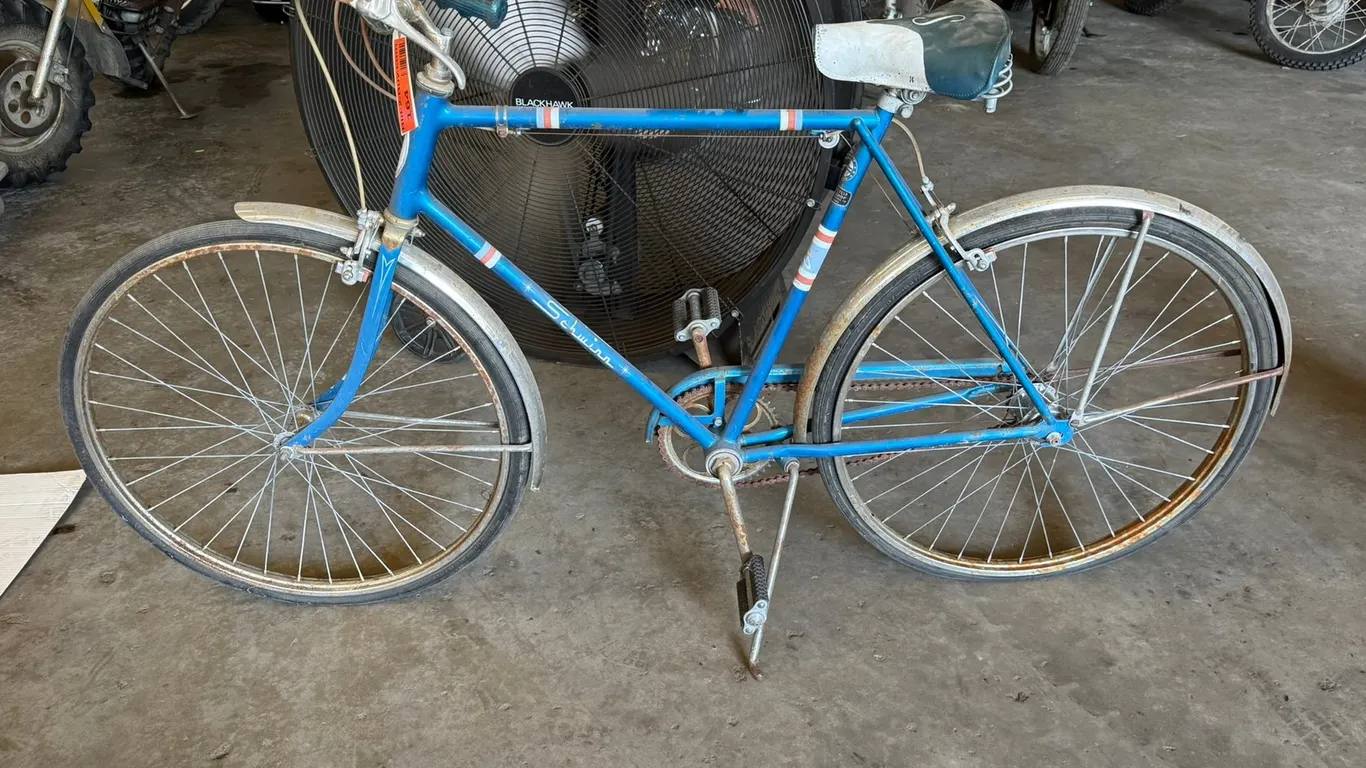 Vintage Schwinn Classic