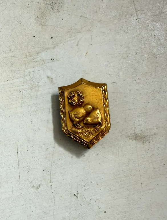 Box Collectible Pins, Plate, Medallions