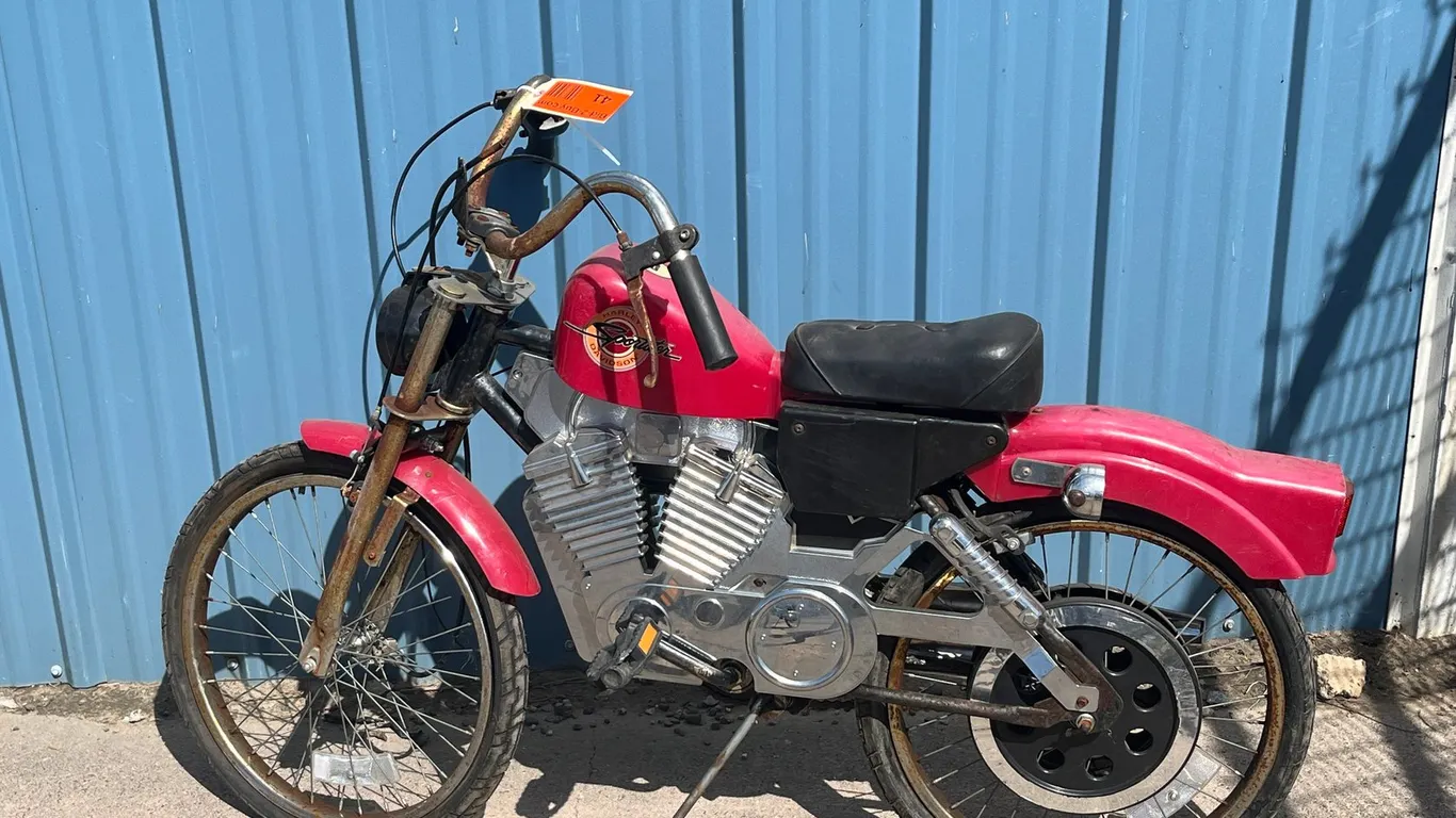 Rare Harley Davidson Sportster Pedal Bike