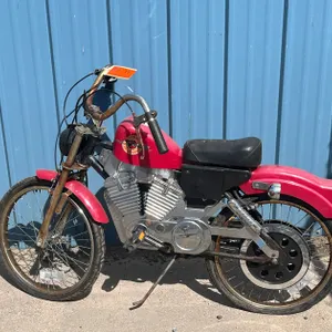 Rare Harley Davidson Sportster Pedal Bike
