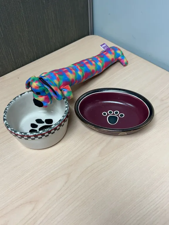 Dog Bowl Set with CastleMere and Rosewares Ceramic Bowls