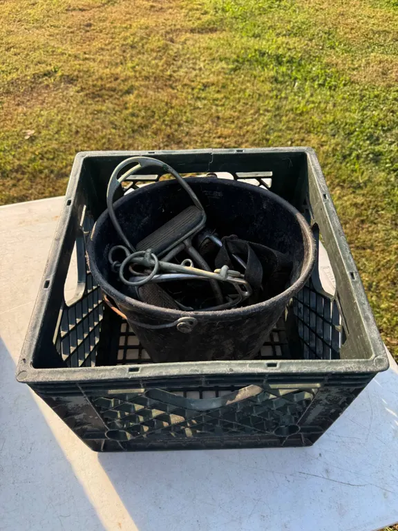 Equestrian Bit and Tack Set