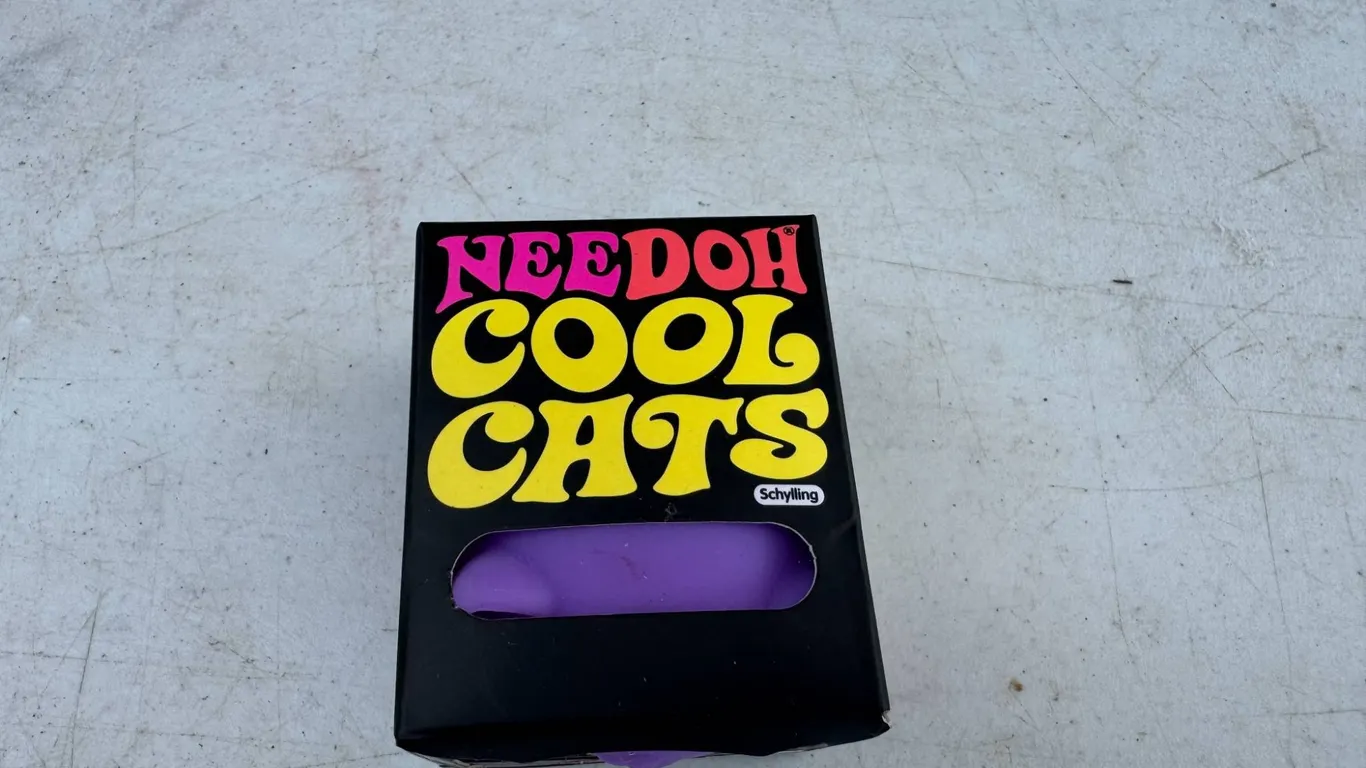 NeeDoh Cool Cats Toy Box