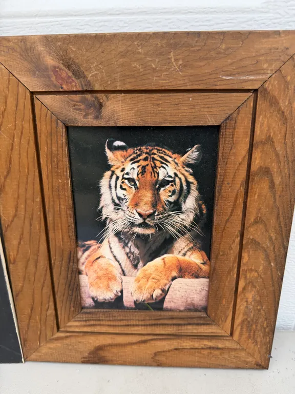 Lot of 2 Tiger Portrait Wall Art Pieces