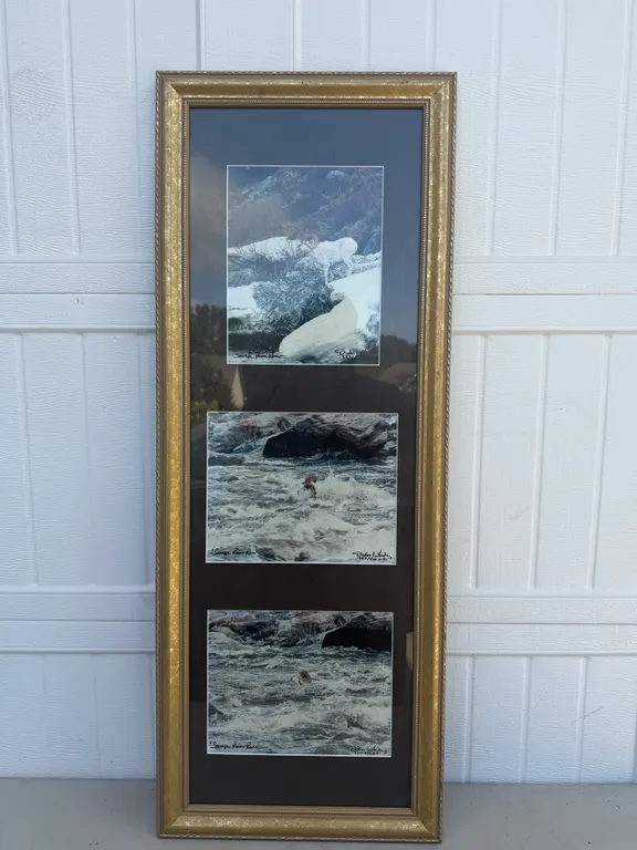 Signed Wildlife Photography Triptych