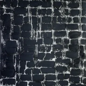 PARVEZ TAJ TEXTURED MONOCHROME ABSTRACT PAINTING