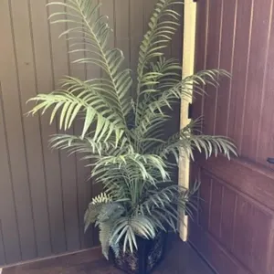 Large Artificial Plant in Pot