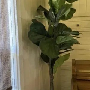 Artificial Plant in Large Vase