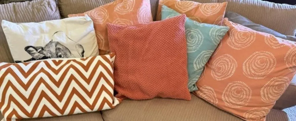 8+/- Decorative Throw Pillows