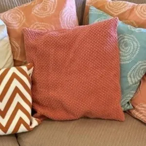8+/- Decorative Throw Pillows