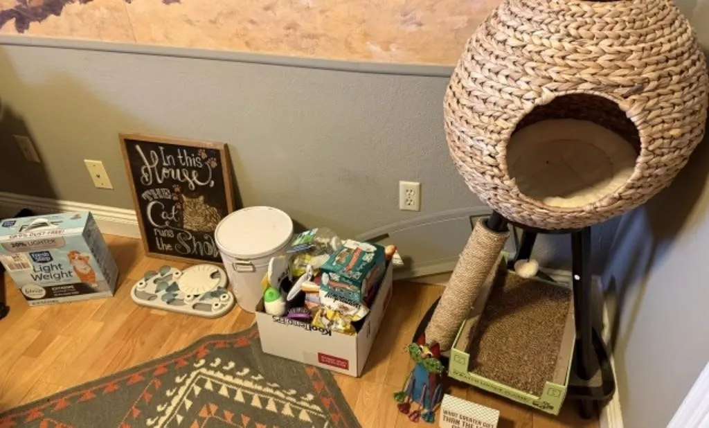 Misc. Cat Items