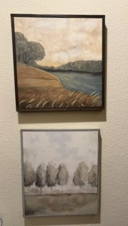 2 Framed Wall Art Pieces