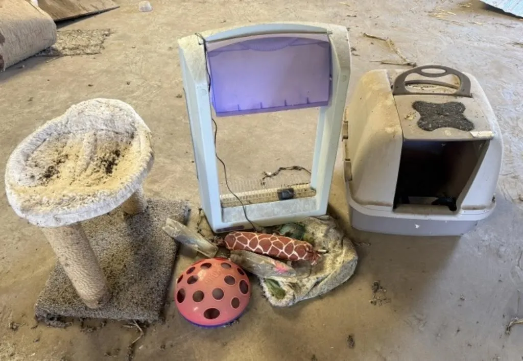Litter Box, Top of Automatic Litter Box, Cat