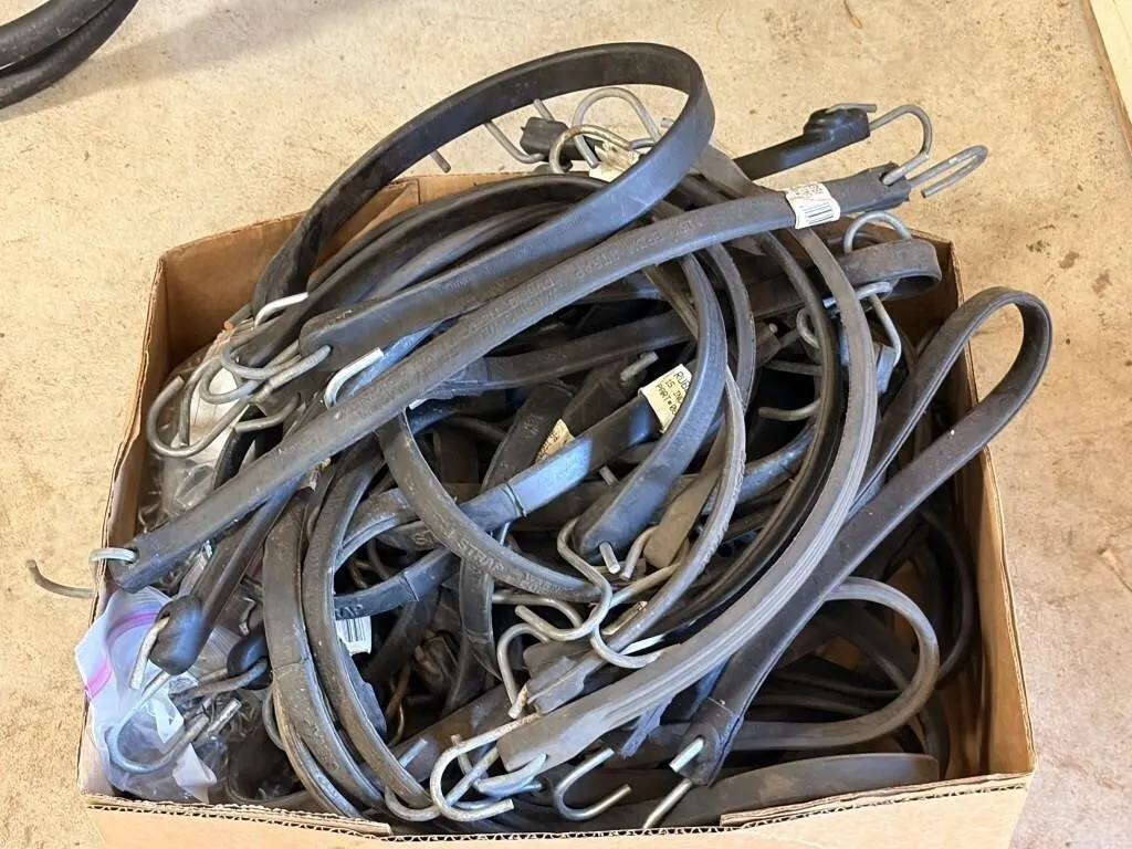 Bungee Cords