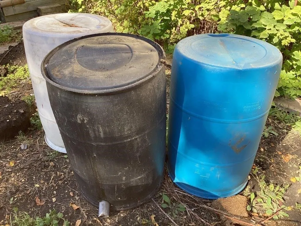 3 plastic barrels used as rain barrells