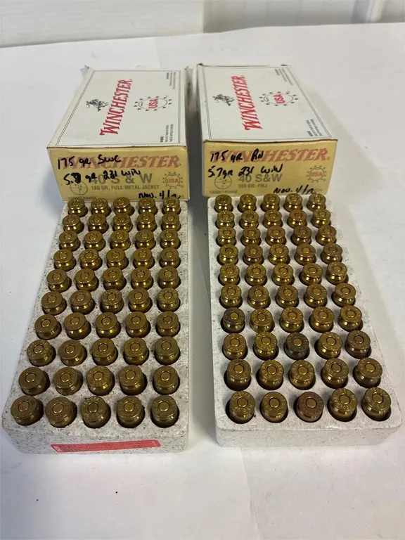 231 WIN Cal. 100 Cartridges Reloads