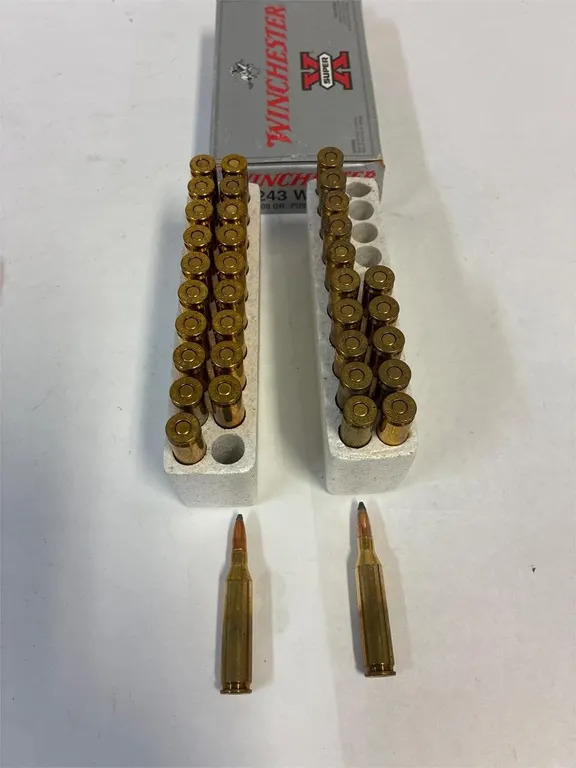 243 Cal. 36 Cartridges, Reloads
