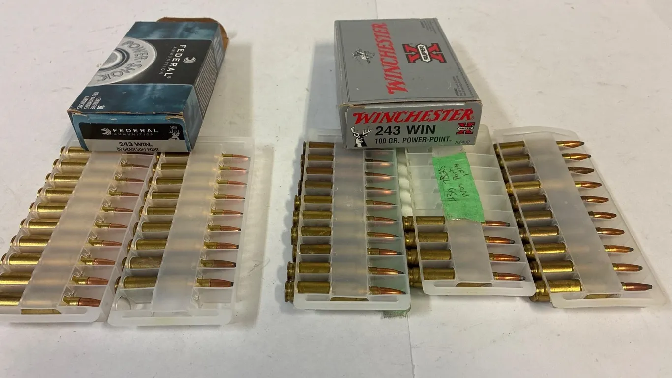 243 Cal. 43 Cartridges assorted, Reloads