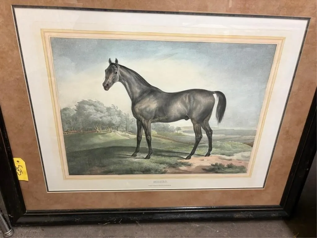 Moses Horse Picture