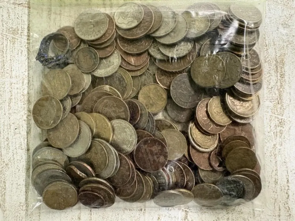 Unsearched bags of misc coins