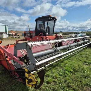 1996 Massey Ferguson 220 Self-Propelled Swather w/ 30' Header
 UNRESERVED