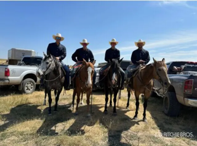 Pollock Ranching
